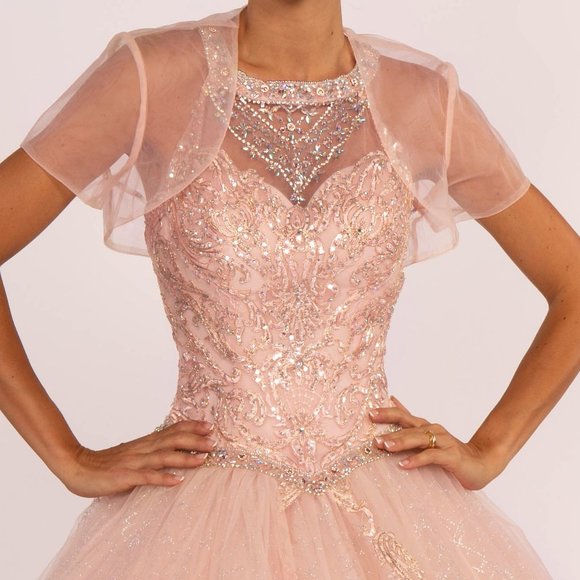 GLS Collective | Dresses | New Floor Length Sleeveless Mesh Ball Gown ... GLS Collective | Dresses | New Floor Length Sleeveless Mesh Ball Gown ...